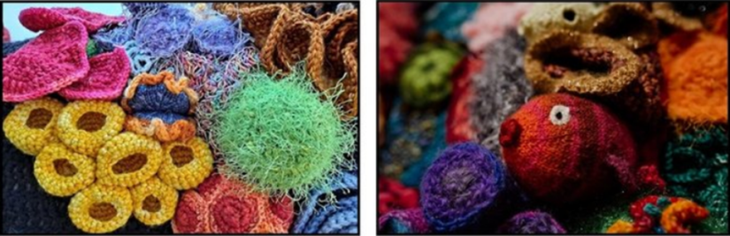 knitted and crocheted coral reef items in various bright colors such as pink, yellow, green purple, blue, red, orange